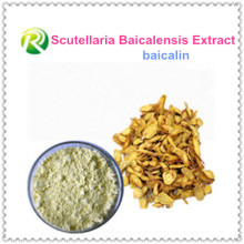 Hohe Qualität Scutellaria Baicalensis Extrakt Baicalin